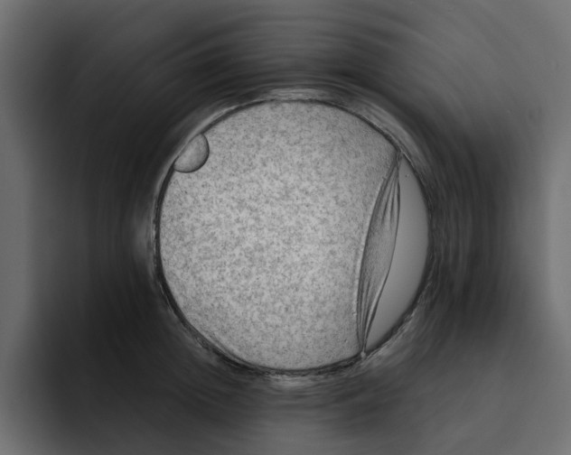 X0000092000852200710041006