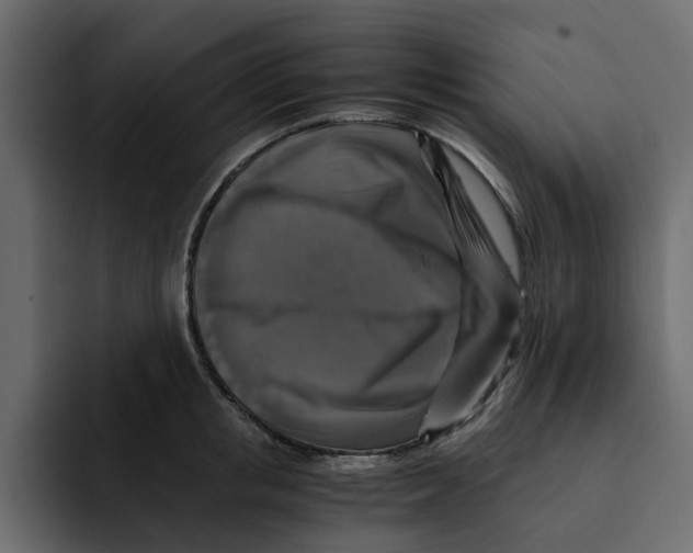 X0000092000853200710041006