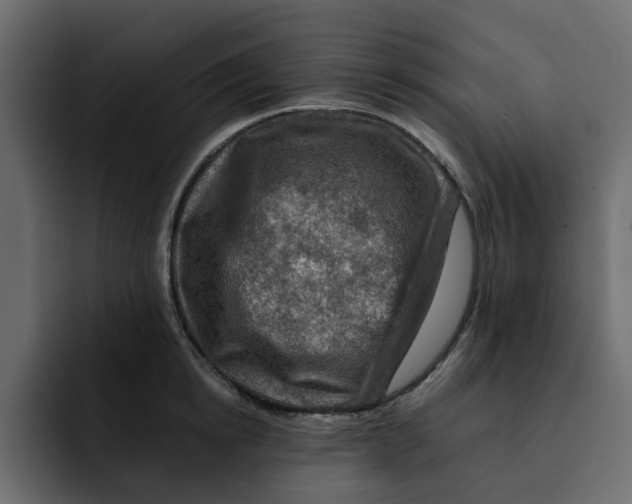 X0000092000854200710041006