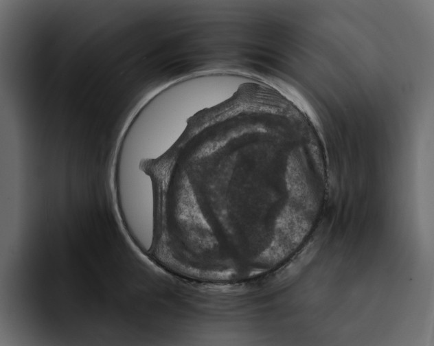 X0000092000855200710041006