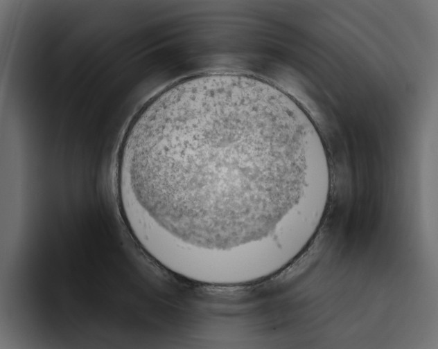 X0000092000856200710041006