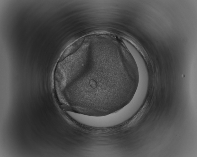 X0000092000858200710041006