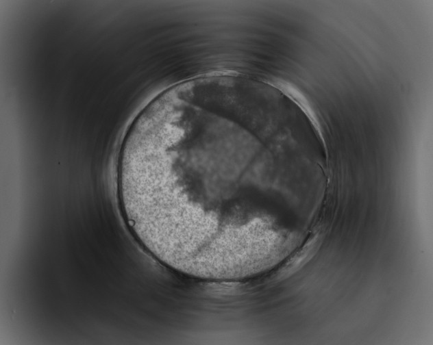 X0000092000859200710041006