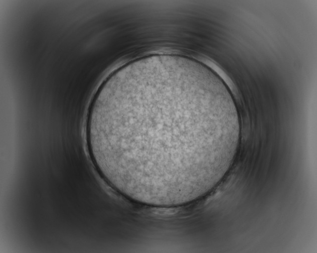 X0000092000861200710041006