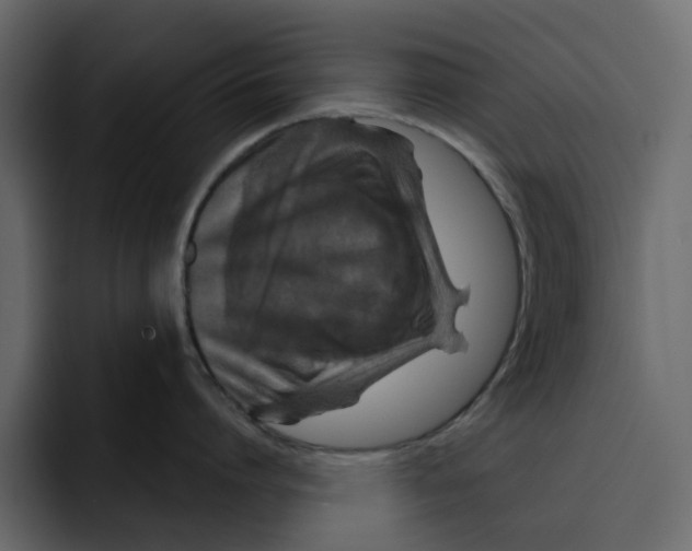 X0000092000864200710041006