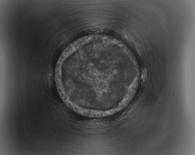 X0000092000867200710041006