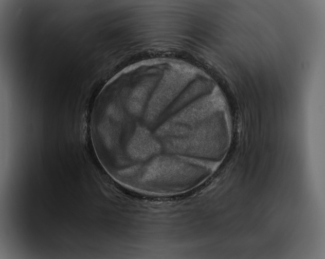 X0000092000868200710041006