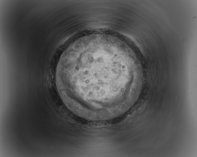 X0000092000871200710041006