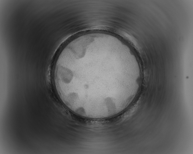 X0000092000875200710041006