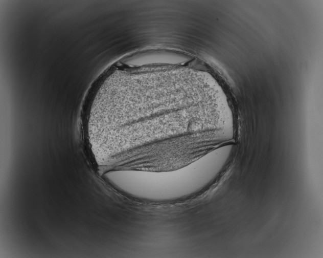 X0000092000876200710041006