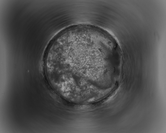 X0000092000879200710041006