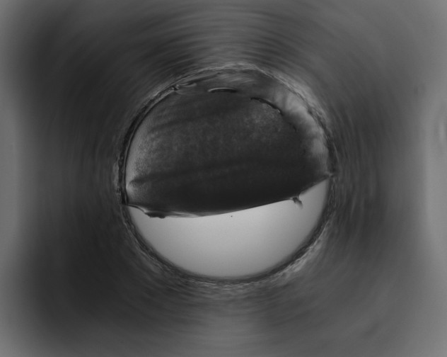 X0000092000881200710041005