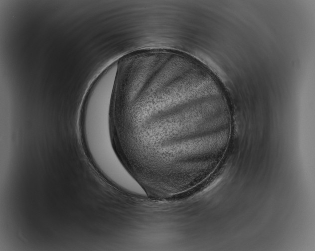 X0000092000885200710041005