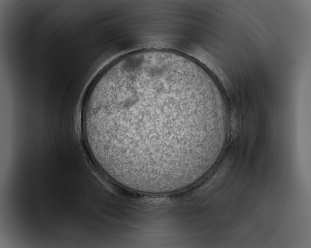 X0000092000886200710041005