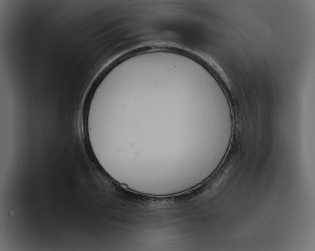 X0000092000887200710041005