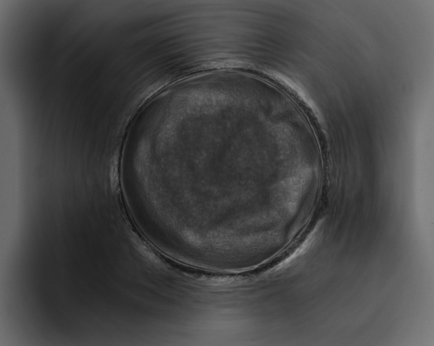 X0000092000889200710041005