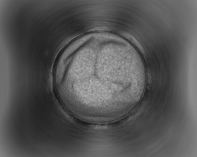 X0000092000890200710041005