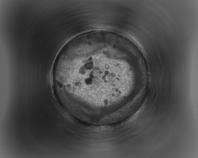 X0000092000891200710041005