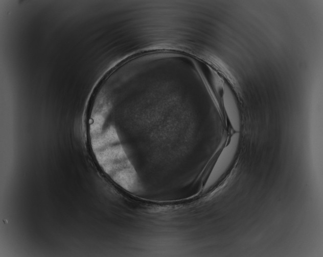 X0000092000892200710041005