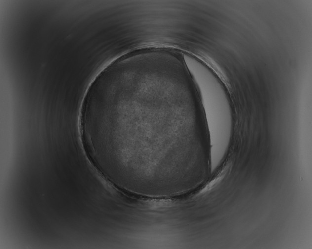 X0000092000893200710041005