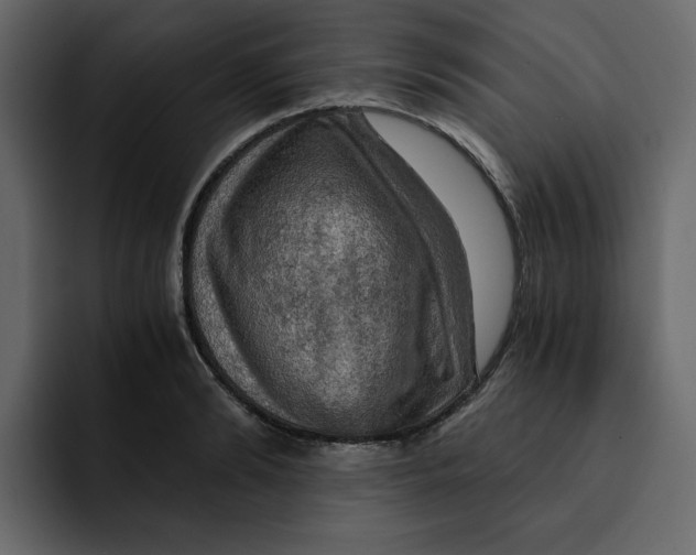 X0000092000894200710041005