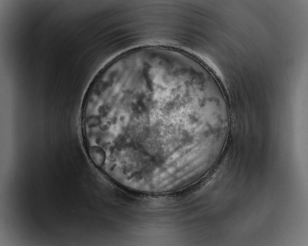 X0000092000895200710041005