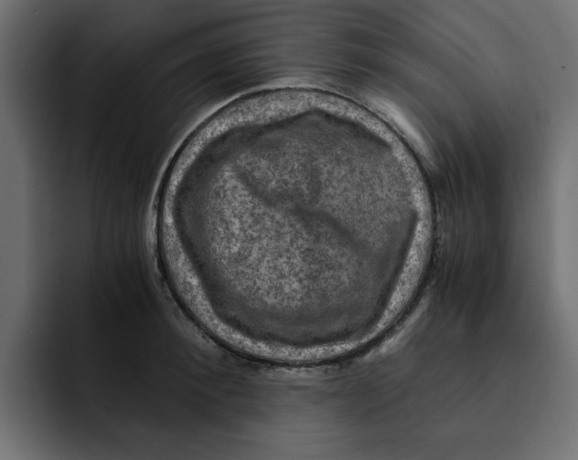 X0000092000900200710041005