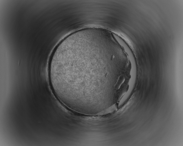 X0000092000902200710041005