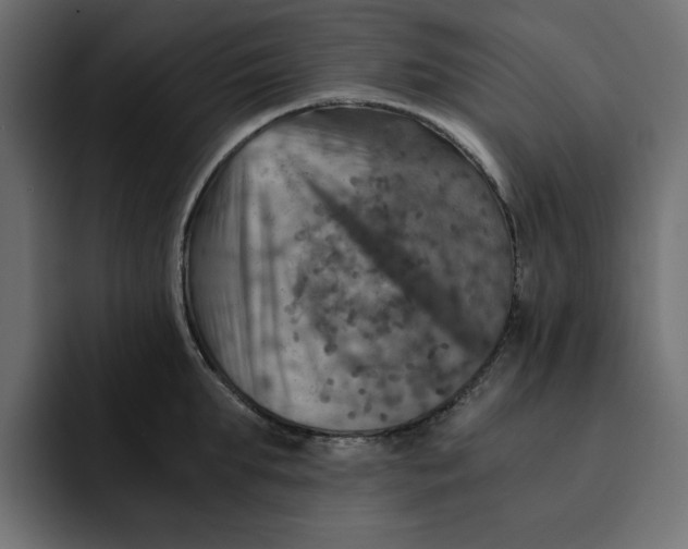 X0000092000903200710041005