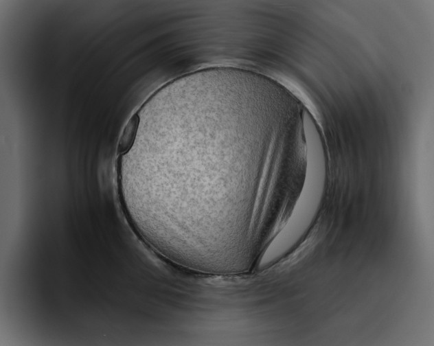 X0000092000906200710041005