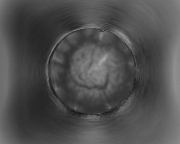 X0000092000907200710041005