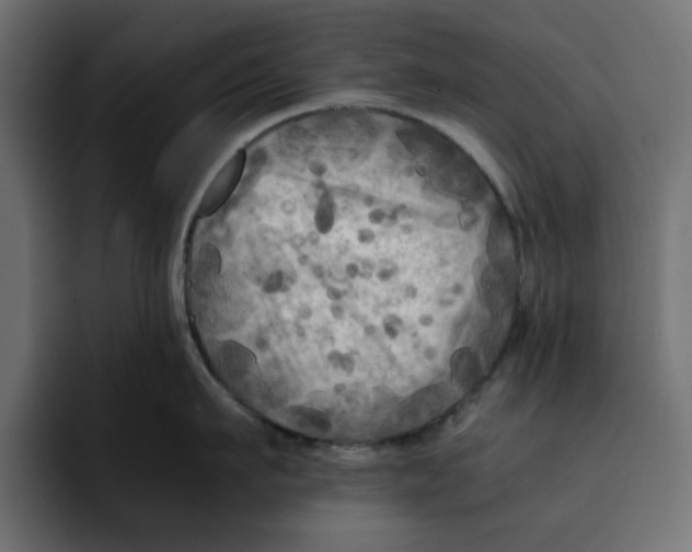 X0000092000911200710041005