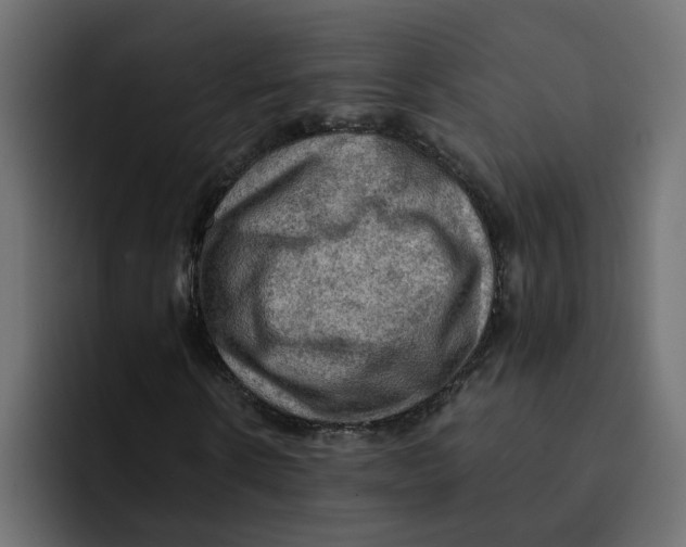 X0000092000914200710041005