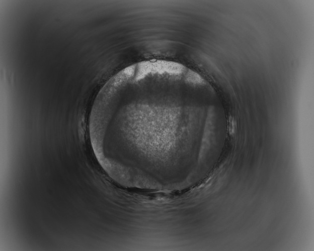 X0000092000915200710041005