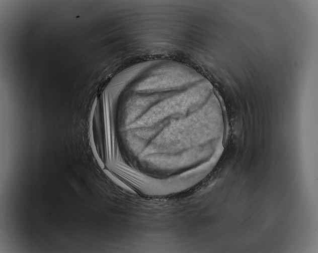 X0000092000916200710041005