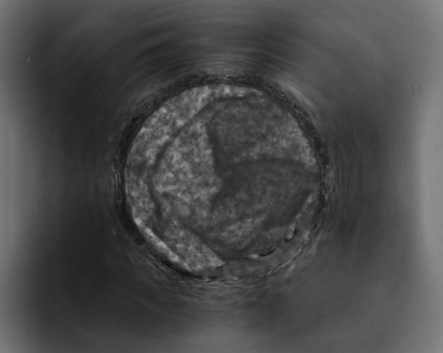 X0000092000917200710041005