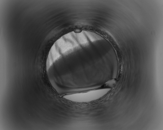 X0000092000919200710041005