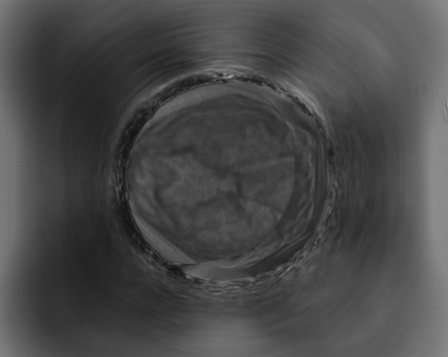 X0000092000920200710041005