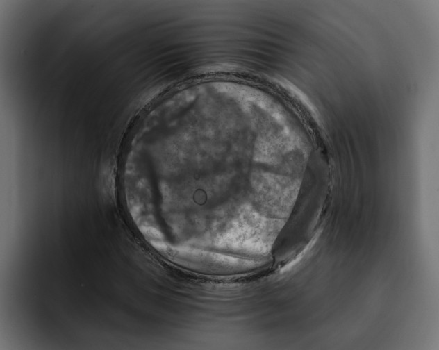 X0000092000921200710041005