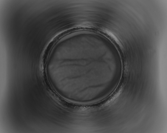 X0000092000923200710041005