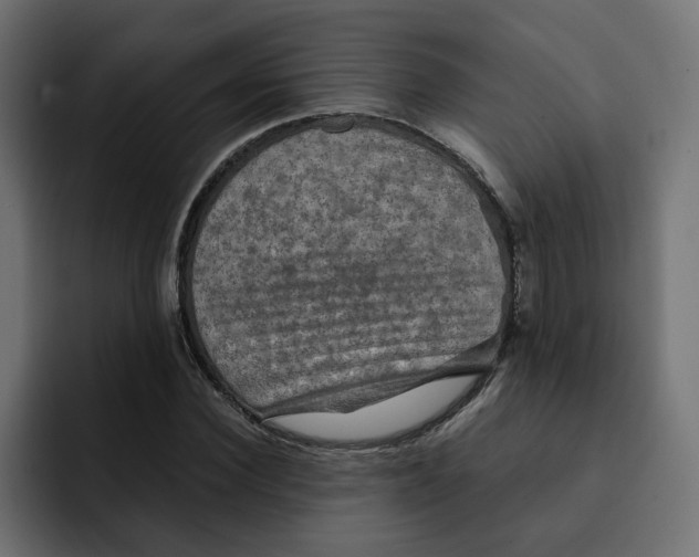 X0000092000924200710041005