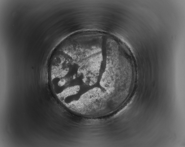 X0000092000925200710041005