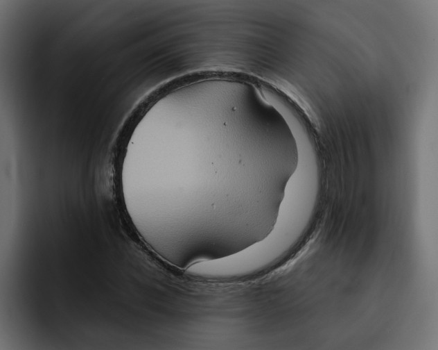 X0000092000926200710041005