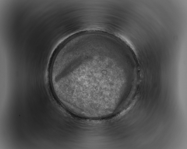 X0000092000928200710041005