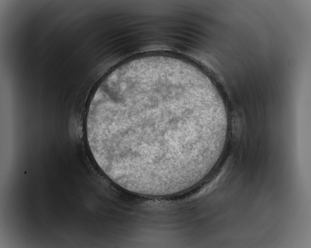 X0000092000929200710041005