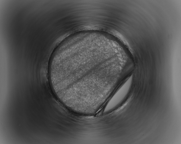 X0000092000930200710041005