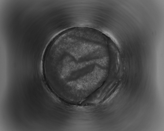 X0000092000932200710041005