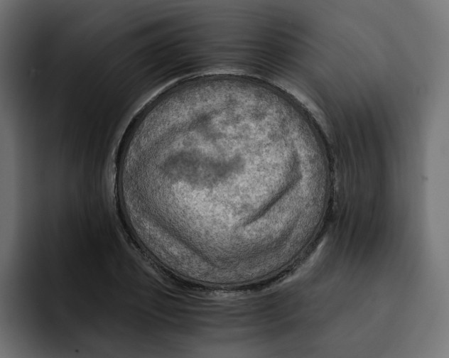 X0000092000933200710041005