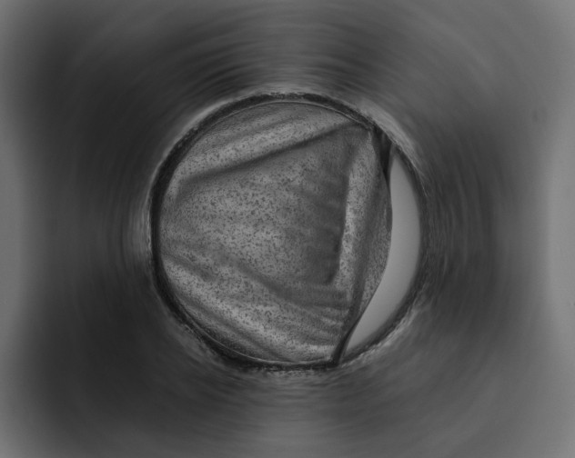 X0000092000934200710041005