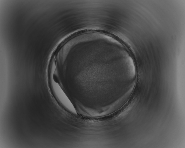 X0000092000935200710041005